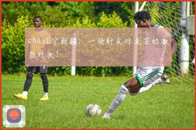 cba辽宁新疆：一场针尖对麦芒的激烈对决！