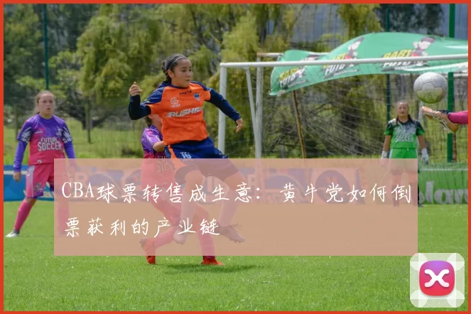 CBA球票转售成生意：黄牛党如何倒票获利的产业链