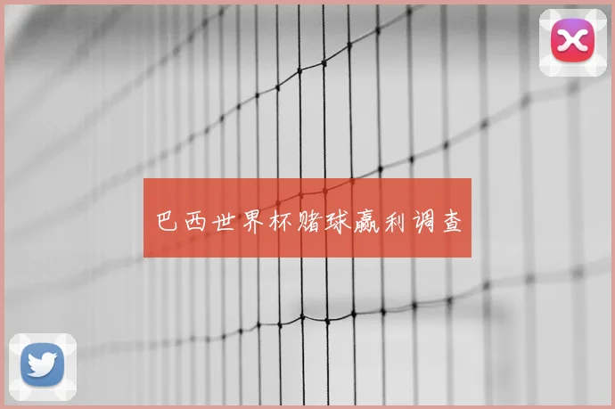 巴西世界杯赌球赢利调查
