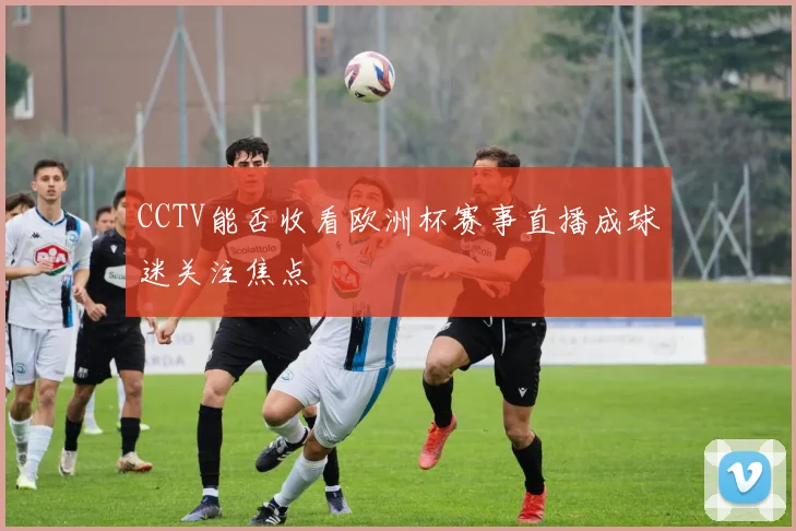 CCTV能否收看欧洲杯赛事直播成球迷关注焦点