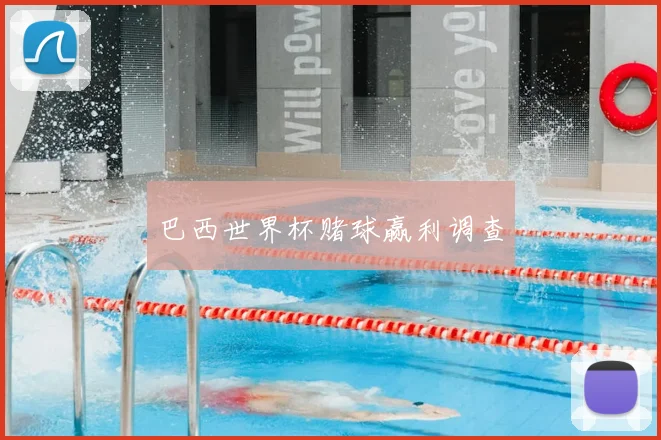 巴西世界杯赌球赢利调查
